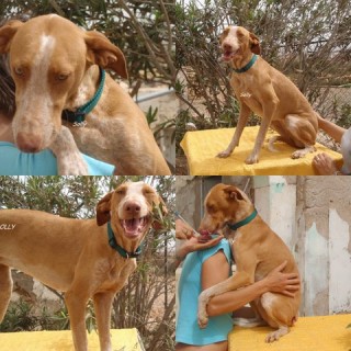 solly c3 1385-118-18